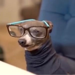 Meet your Posher, Marcos